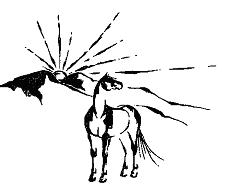 Hidden Valley Equestrian Center, Inc. Logo